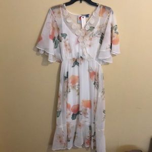 Anthropologie Midi Dress